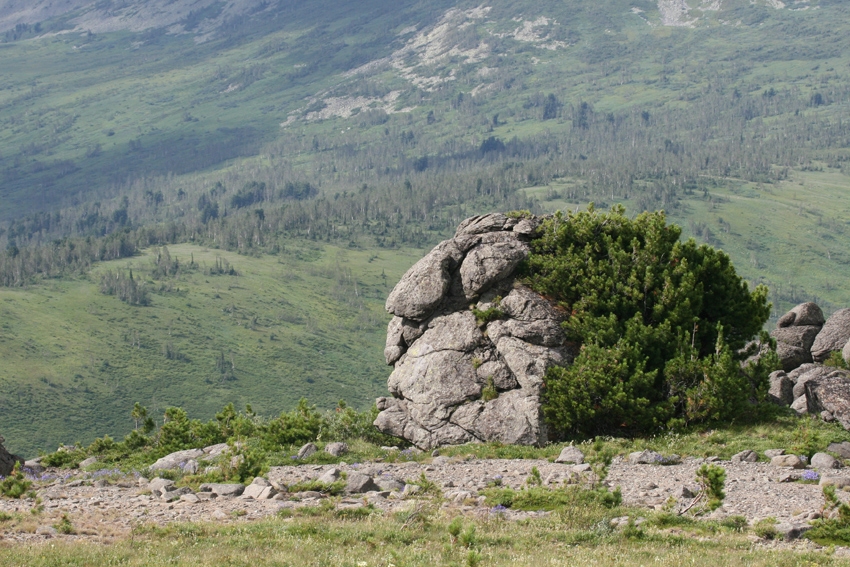 «Кузнецкий Алатау» получил статус государственного природного биосферного заповедника