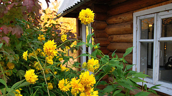 Кабмин упростил порядок подключения дачных участков к энергоснабжению