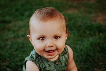 Бесплатный земельный участок многодетным семьям: основная информация